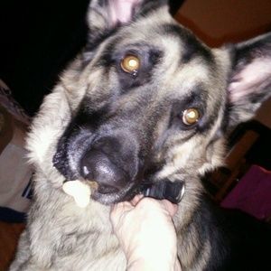 Meet your Posher, Barbara